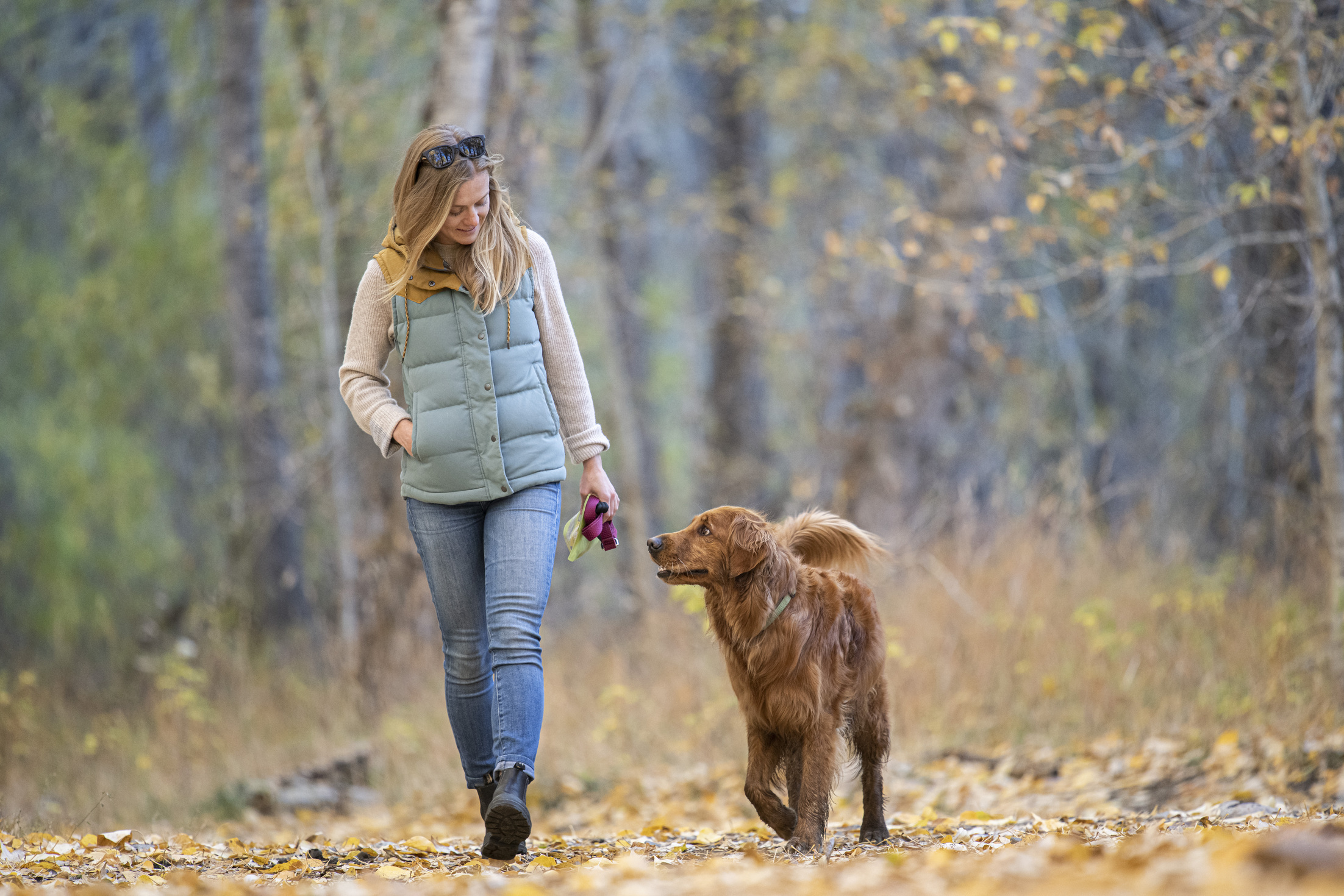 Whether you're out on the trail, walking the bike path, or working on new tricks at home, your hound is going to love Idahound's new Beef Hearts!